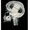 fitness.433