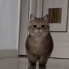 jfbhfn993