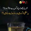 user557800414
