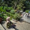 dina.putri1600