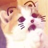url0ve.saaa0