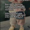 user1153707619739