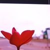 khin.lay3039