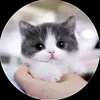 yoshi_cheeselover