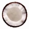 coconut_4262