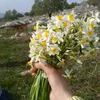 yaghi426