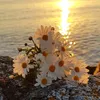 staryforever_2