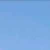 kral_4934