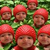 acakkkkk_1