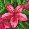 abdullah.mahid0