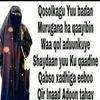 axlaam.adonti.all