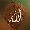 siyamj8r