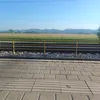 patrik_malba7