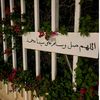 ali.hsn125