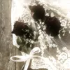 royal.how4