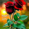 malik50914