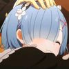 rem10995