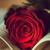 __saudade__95
