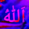 user2465384823055