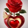 idriss.idriss157