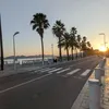 avarni_d24