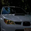 zzet08