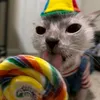 kitkatcat178