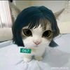 gatita 😺