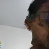 qasimfrmnottz