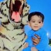 Mohid