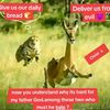 joseph.kiarie775