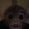 mattstevens659