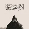 n.shad11