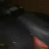 jfrmblk