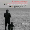 farahi396