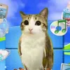 ilovemeowl4ever