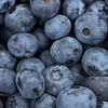 moras_azules_ac
