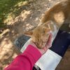 danya_ax6