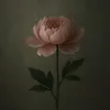 thequietbloom25