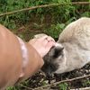 amina_mariche