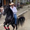 Diego Campestre