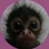 hellothisiskittyyxoxo