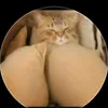 tiktokpremiun56