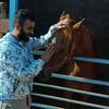 khaled.dhilis