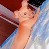 baixinha.....3
