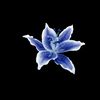 my_2nd_account002