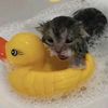 suds.wateryyy