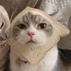 mygfsfavfem.meow