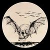 avengedsevenfold078