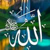 riaaz586
